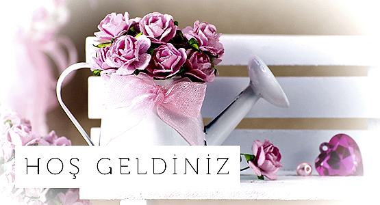 Giriş Banner