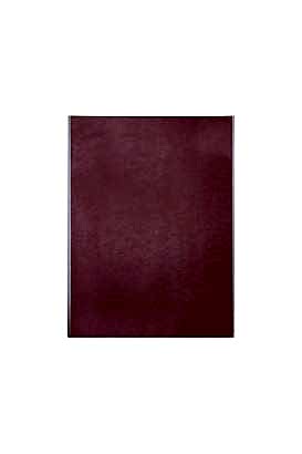 ÇİFT TARAFLI BANT A3