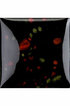 Duncan Crystals Glazes Fıreworks 118ml