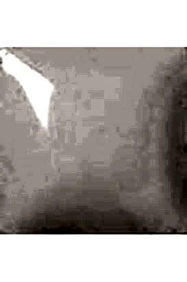 Duncan Pure Brıllıance Clear 118ml