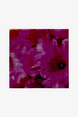 M+Desing PEÇETE 20'Lİ